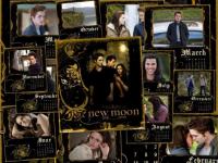 The Twilight Saga: New Moon ( )