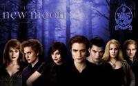 The Twilight Saga: New Moon ( )