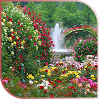 img20110928132526_4377.png