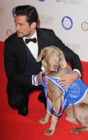 David Gandy attends the annual Collars and Coats gala ball in aid of Battersea Dogs & Cats home at Battersea Evolution on November 7, 2013 in London, England