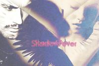    "Shadowfever"