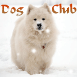 Dog-Club