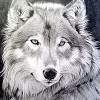 Волки: Справочная информация о волках